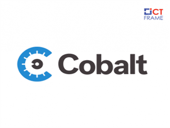 Cobalt Application Security Platform