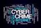 Cyber Fraud Case Study