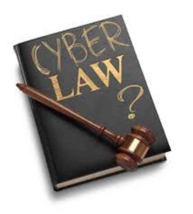 cyber laws pdf