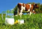 Nepal Dairy Industry
