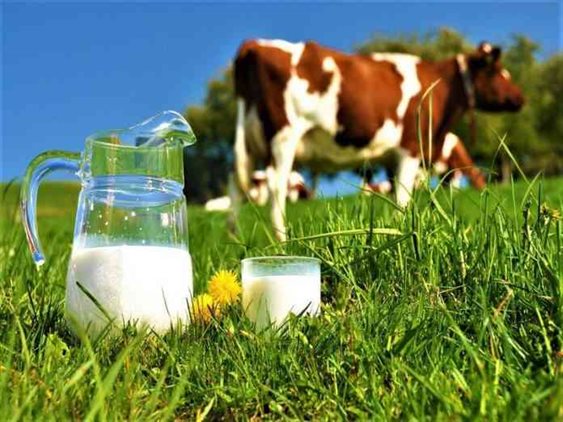 Nepal Dairy Industry