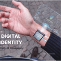 Digital Identity and the COVID-19 Conspiracy