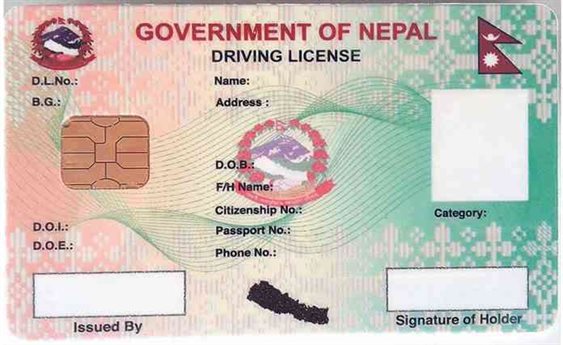 Fake Driving License ID