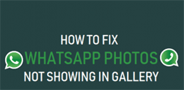 Fix WhatsApp Photos