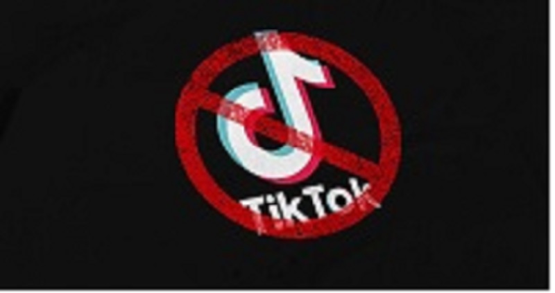 Government Ban on TikTok i