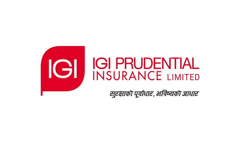 IGI Prudential Share Price Decline