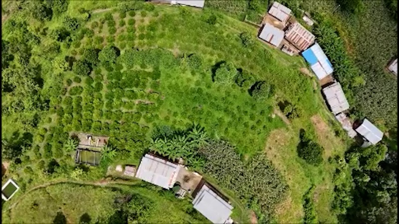 Lemon Farming Popularity in Ramechhap