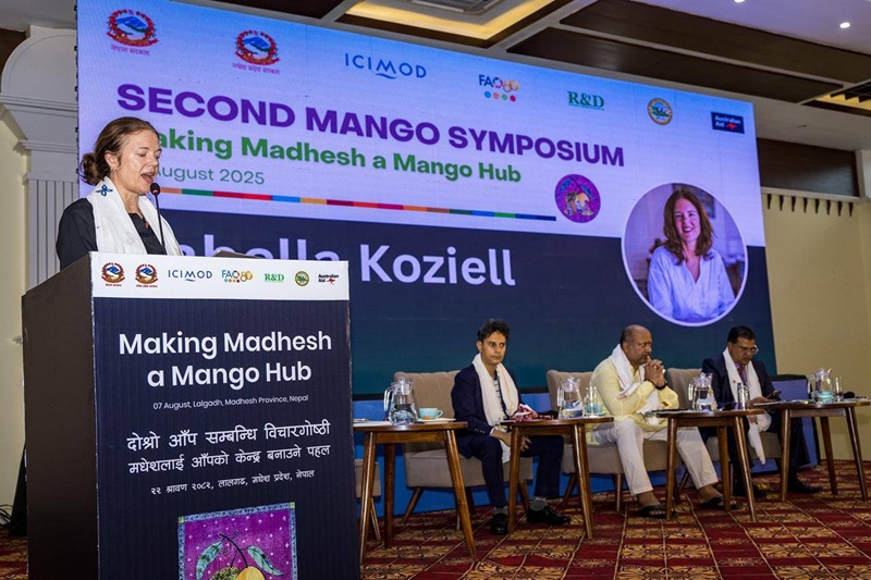 Madhesh Province Mango Hubs