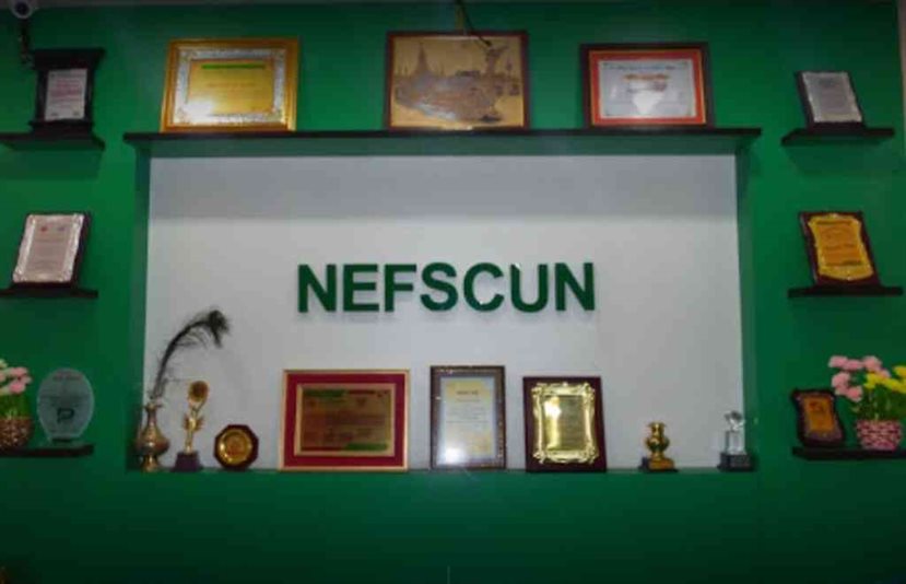 NEFSCUN Banner