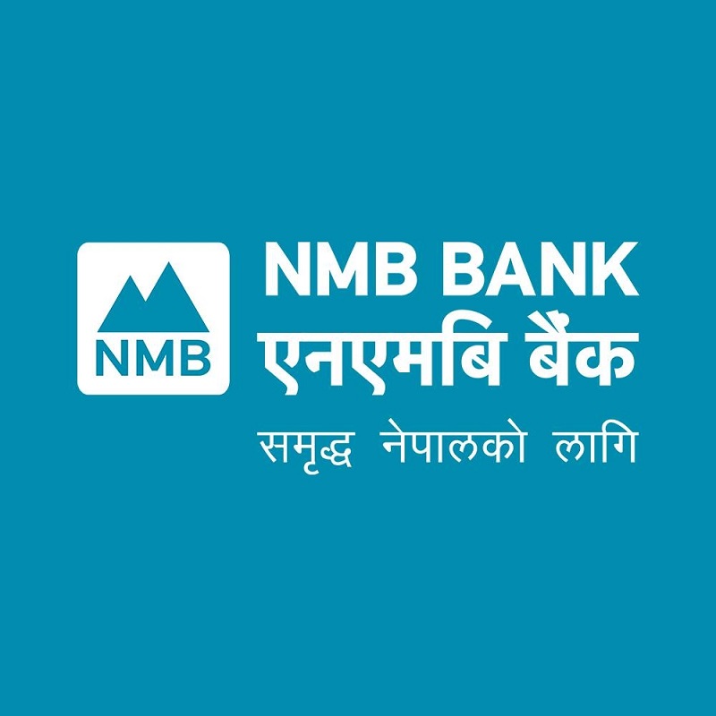 NMB Electric Auto Loans