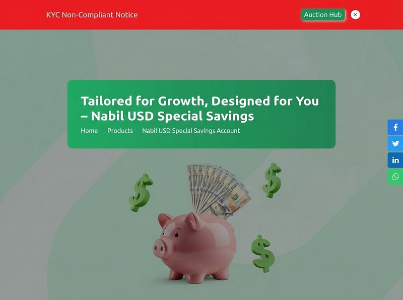 Nabil USD Special Savings Account: Complete Foreign Currency Banking Guide
