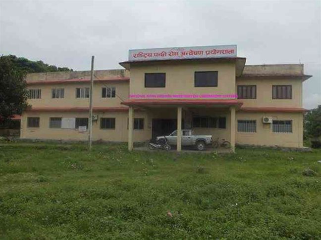 NADIL to begin COVID-19 test in Chitwan