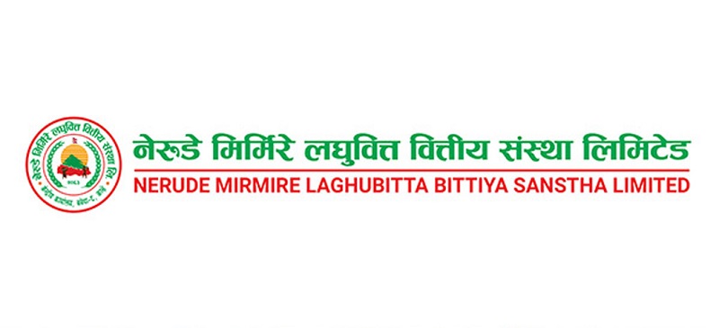 Nerude Mirmire's CEO Recruitment