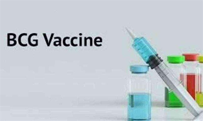 WHO Says No Evidence Suggests BCG Vaccine Can Protect Against COVID-19