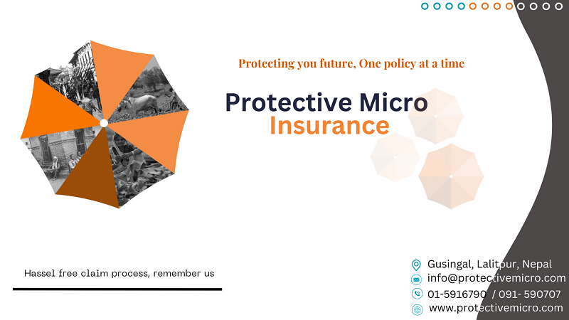 Protective Micro Insurances' Profit