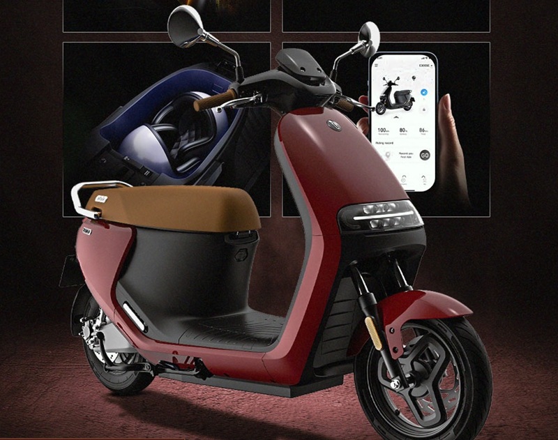 Segway E110L Restocked Nepal