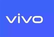 VIVO Main Logo