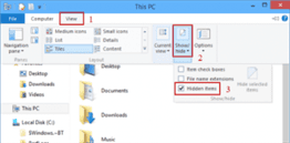 How To View Hidden Files In Windows 10