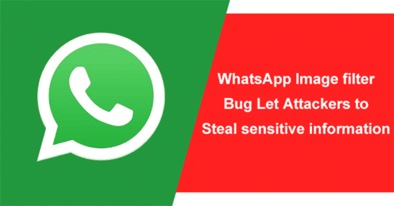 WhatsApp Photo Filter Bug