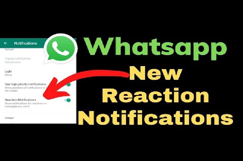 WhatsApp Reaction Notifications